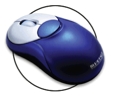 BT500Xpic