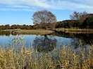 昭和記念公園#1