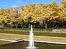 昭和記念公園#5