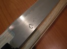DSCN3875