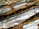 秋刀魚のスモーク
