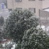 雪景色