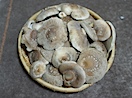 R0022310